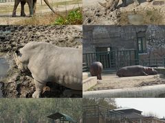 -哈尔滨北方森林动物园