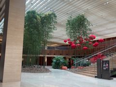-北京望京凯悦酒店The Lounge大堂酒廊