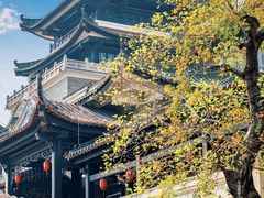 -广州西关永庆坊旅游区