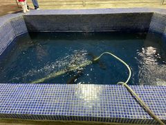 -鸿渡渔庄·特色鸭咀鱼