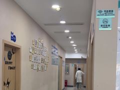 -瑞派名望24h动物医院异宠专科·猫专科·骨科·重症监护分院