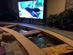 -泉城欧乐堡戏水湾艺术养生温泉