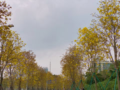 -洲头咀公园