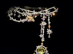 -美国自然历史博物馆