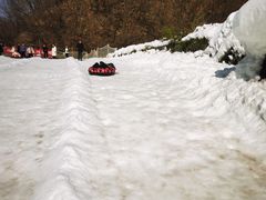 -少华山国家森林公园