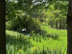 -白鹭湾湿地公园