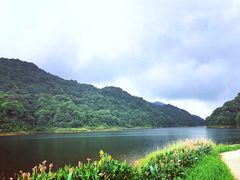 -广州市石门国家森林公园
