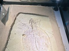 -房山世界地质公园博物馆