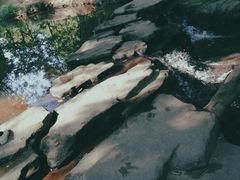 -大屏嶂森林公园