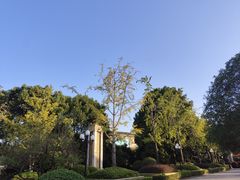-湖北文旅洪宾红莲湖酒店