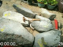 -石头会唱歌融来+北港岚台两岸交流中心