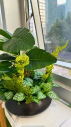 -初心はつ こころ日式美甲美睫沙龙