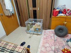 -立德动物医院·异宠·CT·鹦鹉(天河店)