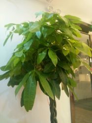 -颜工坊健康美容管理中心喜丽妈妈