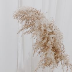 点击看大图 -mood理容店