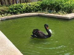 -行者书屋大堂吧 ·下午茶(南京圣和府邸酒店)