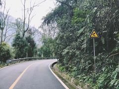 -青城山