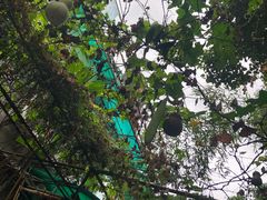 -东伊顺(高银街店)