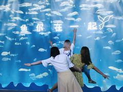 -秦皇岛乐岛海洋王国