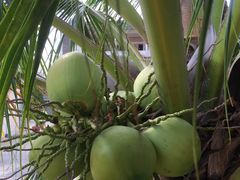 -吐斯廉屠杀博物馆