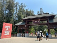 -大京沙滩