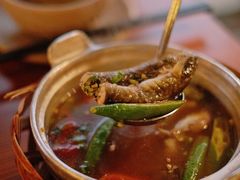 -Cau Go Vietnamese Cuisine