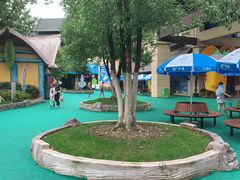 -苏州乐园森林水世界