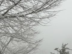 -四明山国家森林公园