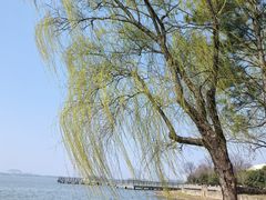 -长广溪湿地公园