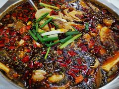 -乡土特色.冷锅鱼.牦牛肉汤锅