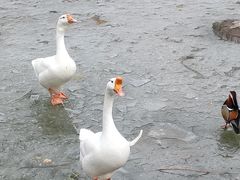 -济南野生动物世界