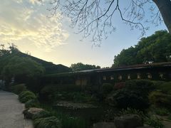 -中国茶叶博物馆(双峰馆区)