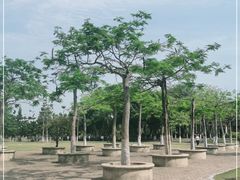 -厦门园林博览苑