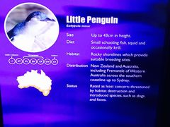 -悉尼海洋生物水族馆