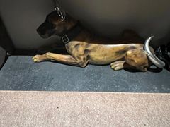 -漪龙台·B26 Rooftop Lounge