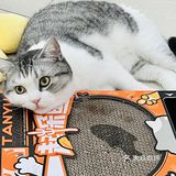 懒人福音｜点外卖跟猫猫一起探鱼🐟！