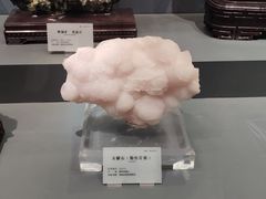 -湖南省地质博物馆