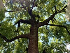 -湖北美术学院(昙华林校区)