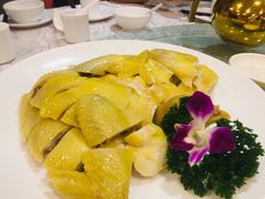 -顺德佬华侨城店·商务宴请·团建