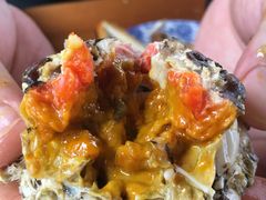 -喜洋洋蟹庄(阳澄湖店)