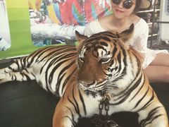 -东芭乐园