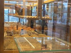 -窑滚面包专门店(马鞍山金鹰店)