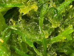 -比格比萨自助(南京万达茂店)