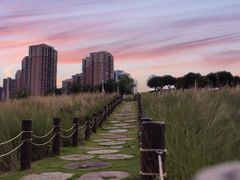 -红花山公园