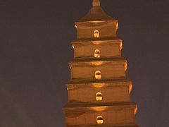 -福苗小骆驼烧烤(大唐不夜城店)