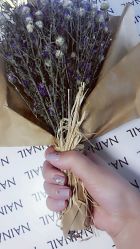 -MORI茉丽日本美甲美睫