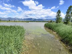 -野鸭湖国家湿地公园