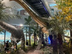 -湖南省地质博物馆