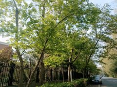 -河南省黄河迎宾馆