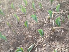 -长春公园(普阳街道)